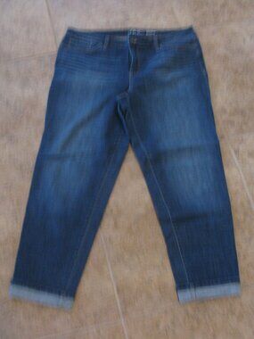 INC International Concepts sz16  Stretch Jeans Plus Size Women’s Classic Fit